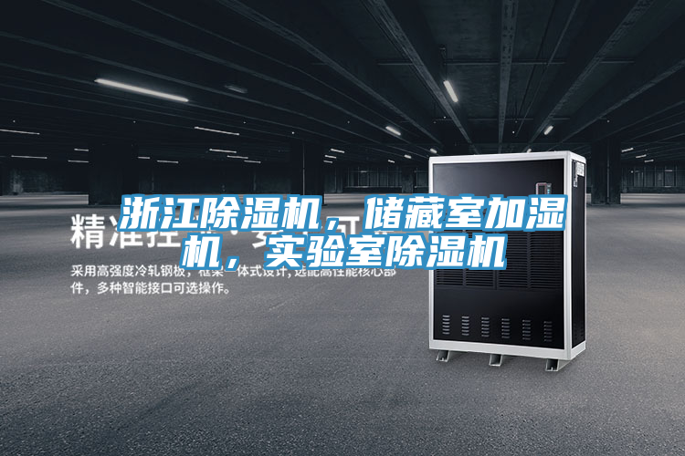 浙江草莓小视频黄色，儲藏室加濕機，實驗室草莓小视频黄色