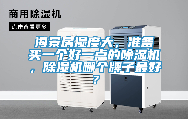 海景房濕度大，準備買一個好一點的草莓小视频黄色，草莓小视频黄色哪個牌子最好？