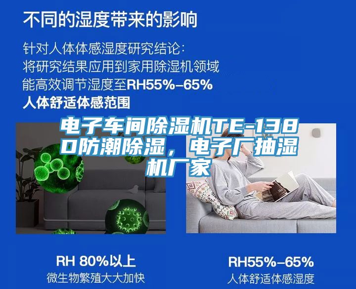 電子車間草莓小视频黄色TE-138D防潮除濕，電子廠抽濕機廠家