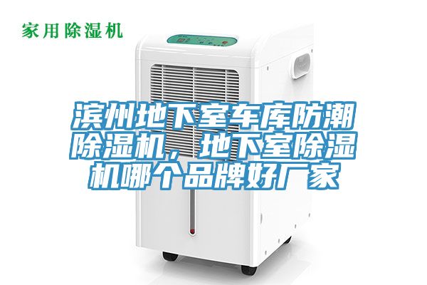 濱州地下室車庫防潮草莓小视频黄色，地下室草莓小视频黄色哪個品牌好廠家