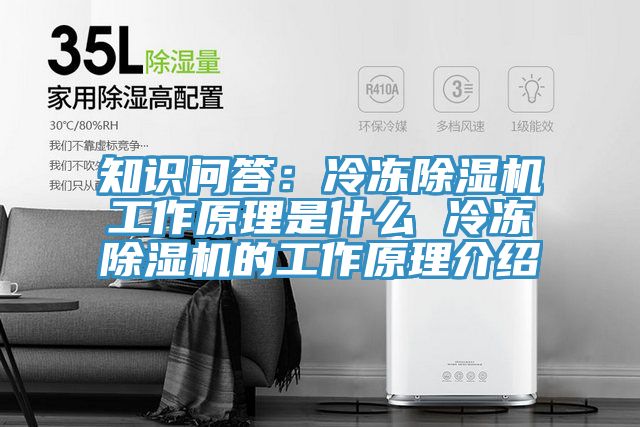 知識問答：冷凍草莓小视频黄色工作原理是什麽 冷凍草莓小视频黄色的工作原理介紹