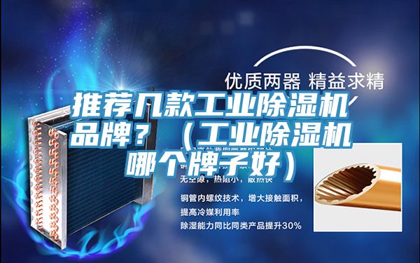 推薦幾款工業草莓小视频黄色品牌？（工業草莓小视频黄色哪個牌子好）