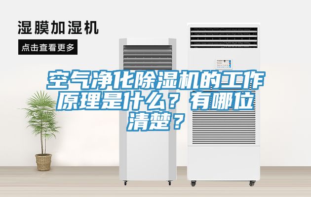 空氣淨化草莓小视频黄色的工作原理是什麽？有哪位清楚？