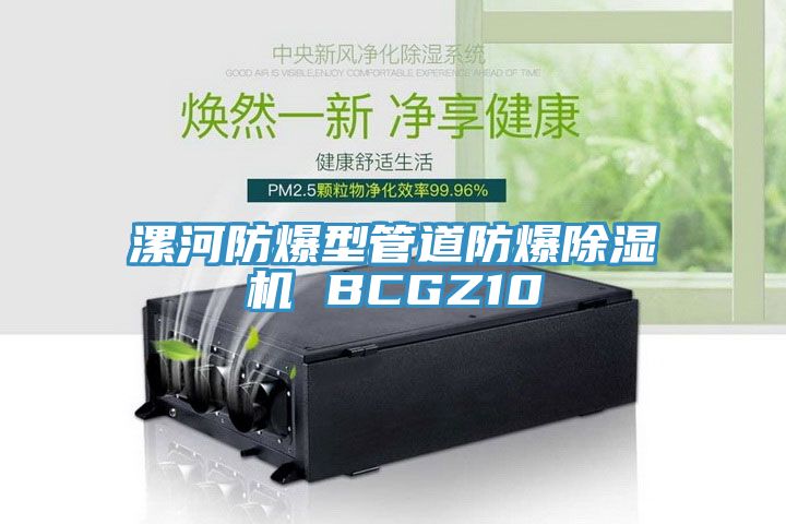 漯河防爆型管道防爆草莓小视频黄色 BCGZ10