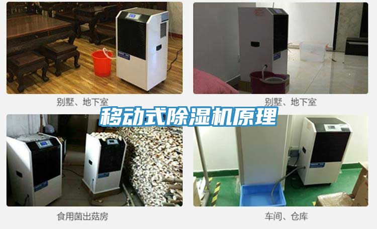 移動式草莓小视频黄色原理