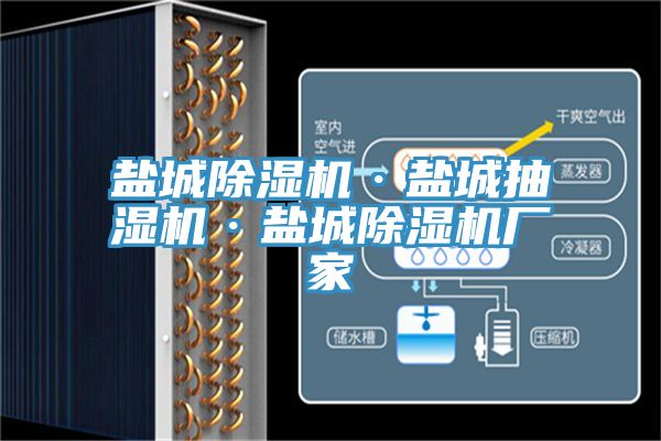 鹽城草莓小视频黄色·鹽城抽濕機·鹽城草莓小视频黄色廠家