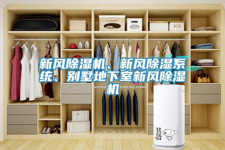 新風草莓小视频黄色、新風除濕係統、別墅地下室新風草莓小视频黄色