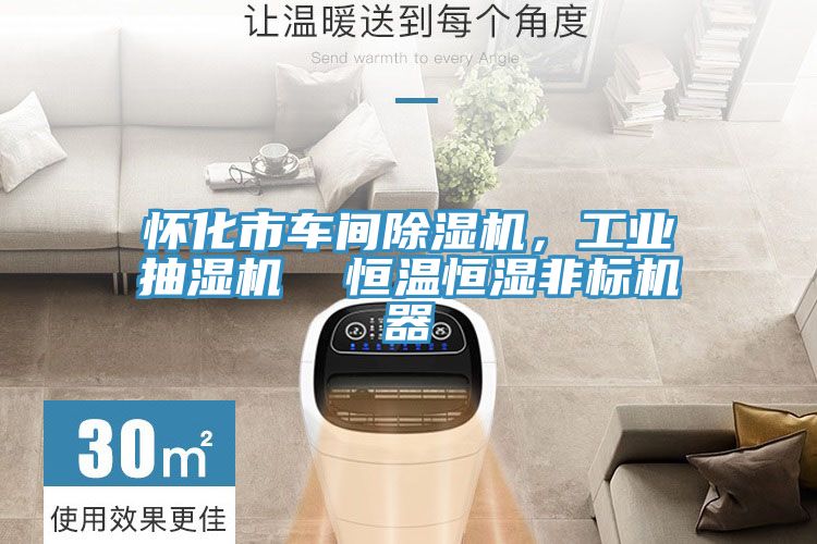 懷化市車間草莓小视频黄色，工業抽濕機  恒溫恒濕非標機器