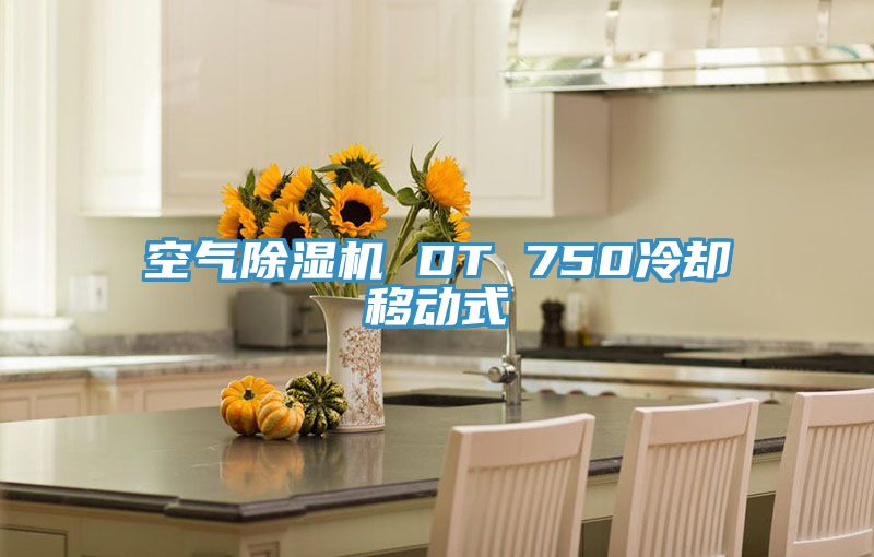 空氣草莓小视频黄色 DT 750冷卻移動式