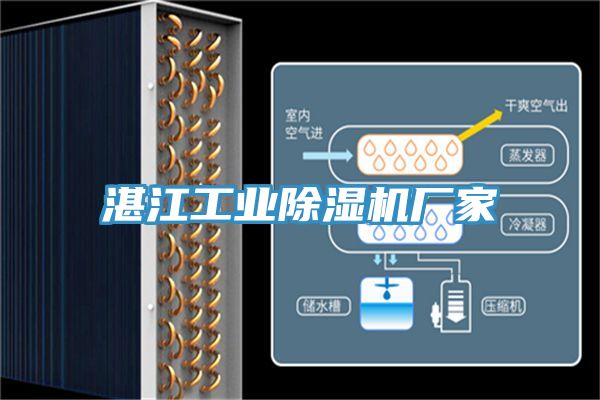 湛江工業草莓小视频黄色廠家