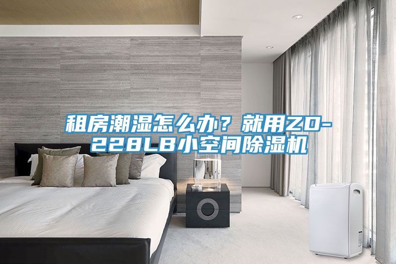 租房潮濕怎麽辦？就用ZD-228LB小空間草莓小视频黄色