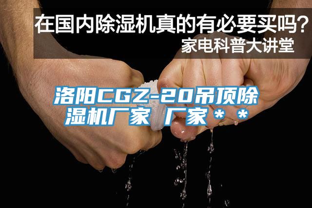 洛陽CGZ-20吊頂草莓小视频黄色廠家 廠家**