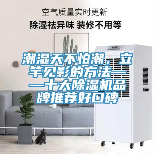 潮濕天不怕潮，立竿見影的方法——十大草莓小视频黄色品牌推薦好口碑