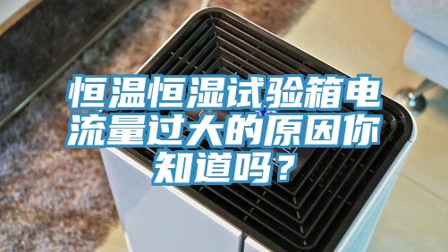 恒溫恒濕試驗箱電流量過大的原因你知道嗎？