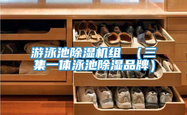 遊泳池草莓小视频黄色組 (三集一體泳池除濕品牌)