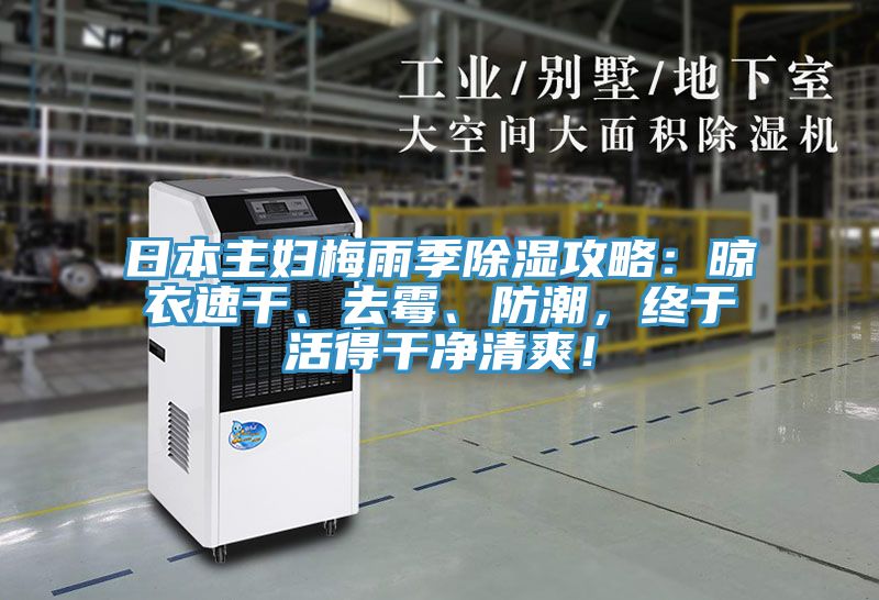 日本主婦梅雨季除濕攻略：晾衣速幹、去黴、防潮，終於活得幹淨清爽！