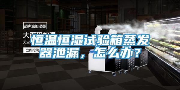 恒溫恒濕試驗箱蒸發器泄漏，怎麽辦？