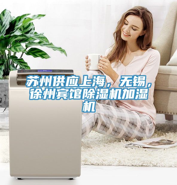 蘇州供應上海，無錫，徐州賓館草莓小视频黄色加濕機