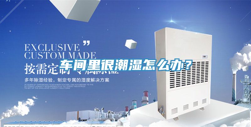 車間裏很潮濕怎麽辦？