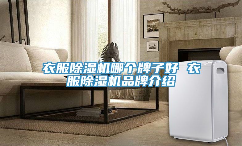 衣服草莓小视频黄色哪個牌子好 衣服草莓小视频黄色品牌介紹