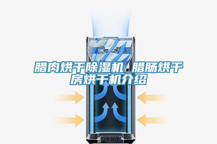 臘肉烘幹草莓小视频黄色 臘腸烘幹房烘幹機介紹