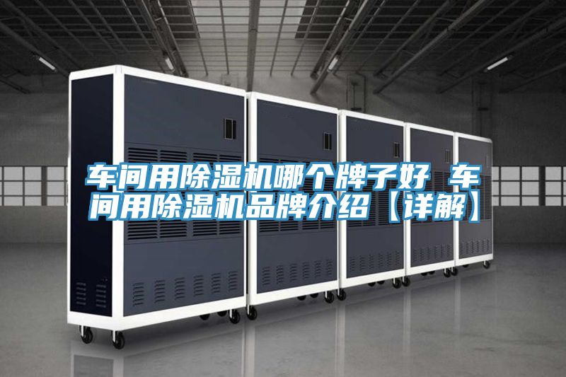 車間用草莓小视频黄色哪個牌子好 車間用草莓小视频黄色品牌介紹【詳解】