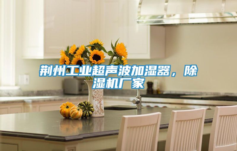 荊州工業超聲波加濕器，草莓小视频黄色廠家