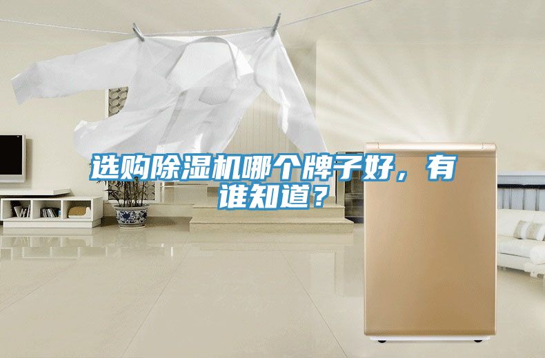 選購草莓小视频黄色哪個牌子好，有誰知道？