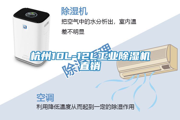 杭州10L-12L工業草莓小视频黄色直銷