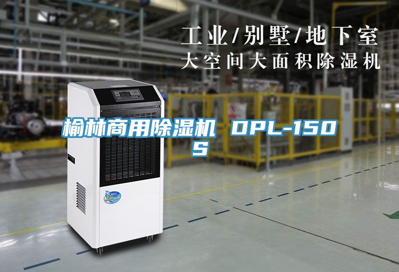 榆林商用草莓小视频黄色 DPL-150S