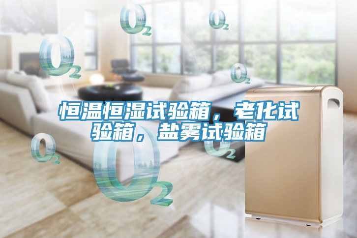 恒溫恒濕試驗箱，老化試驗箱，鹽霧試驗箱