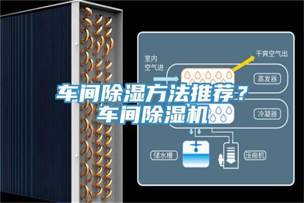 車間除濕方法推薦？車間草莓小视频黄色