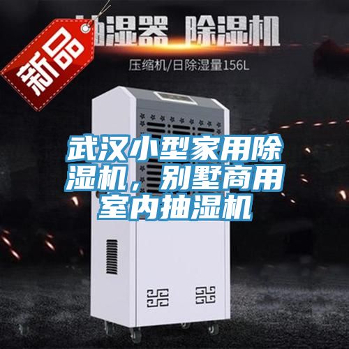 武漢小型家用草莓小视频黄色，別墅商用室內抽濕機