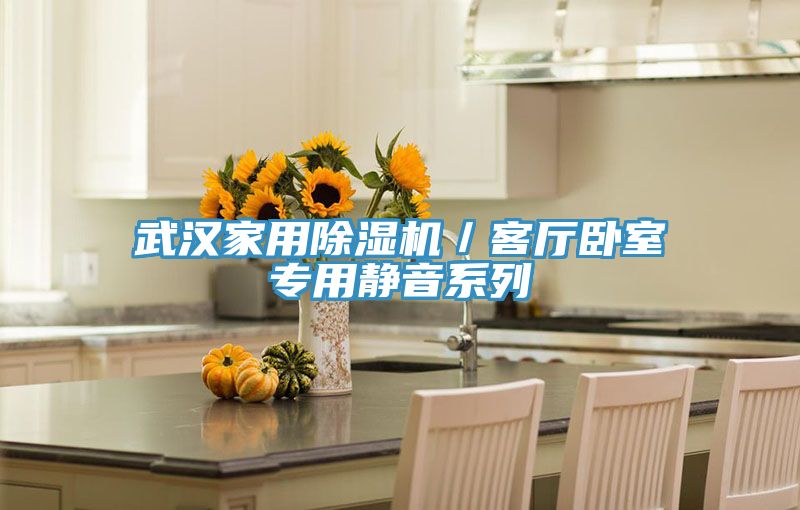 武漢家用草莓小视频黄色／客廳臥室專用靜音係列