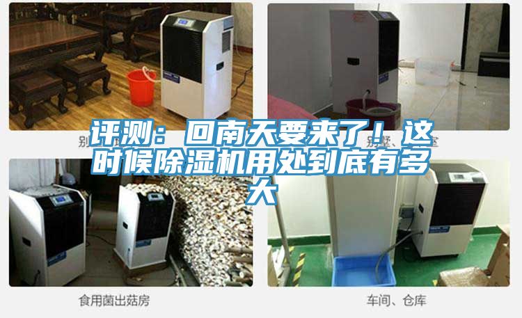 評測：回南天要來了！這時候草莓小视频黄色用處到底有多大