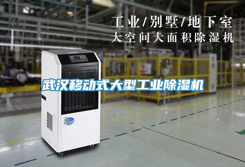 武漢移動式大型工業草莓小视频黄色