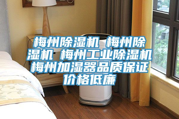 梅州草莓小视频黄色☆梅州草莓小视频黄色☆梅州工業草莓小视频黄色☆梅州加濕器品質保證價格低廉