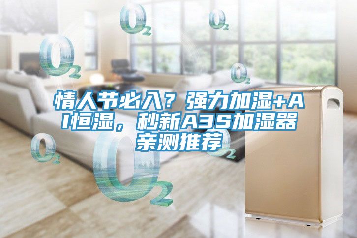 情人節必入？強力加濕+AI恒濕，秒新A3S加濕器親測推薦
