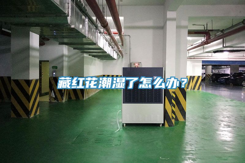 藏紅花潮濕了怎麽辦？