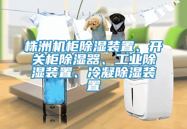 株洲機櫃除濕裝置、開關櫃除濕器、工業除濕裝置、冷凝除濕裝置