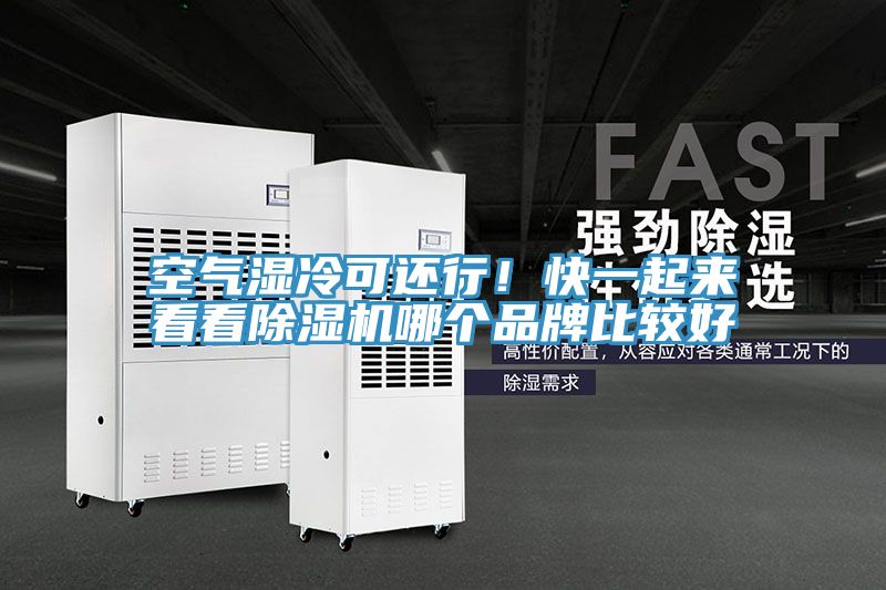 空氣濕冷可還行！快一起來看看草莓小视频黄色哪個品牌比較好