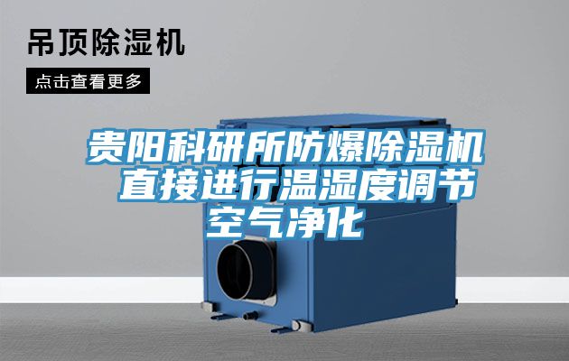 貴陽科研所防爆草莓小视频黄色 直接進行溫濕度調節空氣淨化