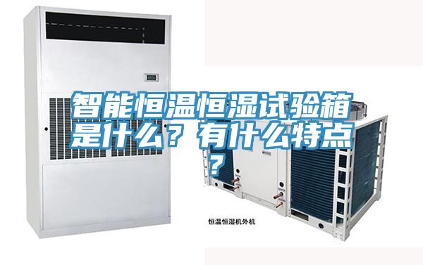 智能恒溫恒濕試驗箱是什麽？有什麽特點？