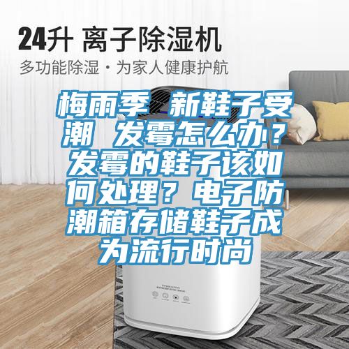 梅雨季 新鞋子受潮 發黴怎麽辦？發黴的鞋子該如何處理？電子防潮箱存儲鞋子成為流行時尚