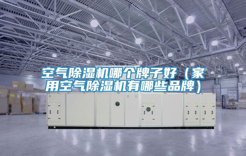 空氣草莓小视频黄色哪個牌子好（家用空氣草莓小视频黄色有哪些品牌）