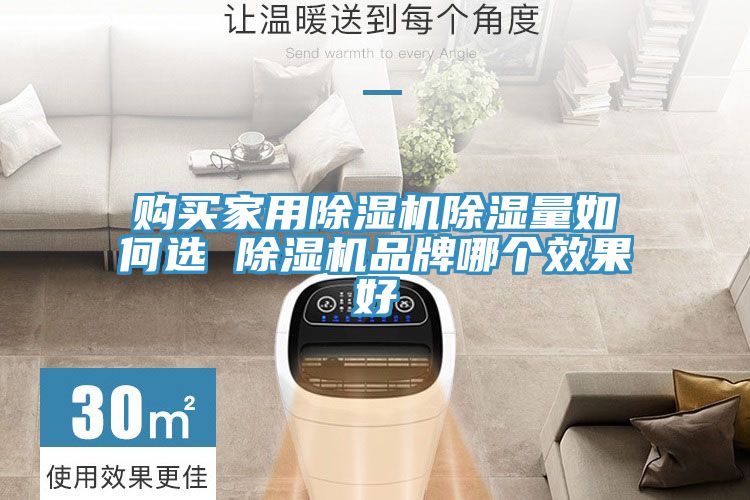 購買家用草莓小视频黄色除濕量如何選 草莓小视频黄色品牌哪個效果好