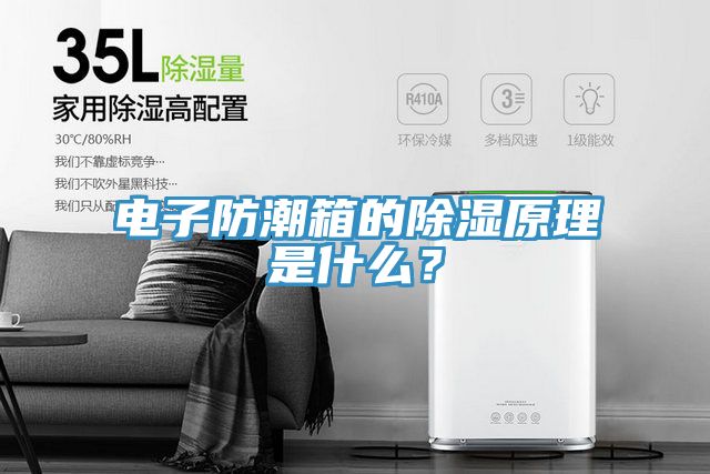 電子防潮箱的除濕原理是什麽？