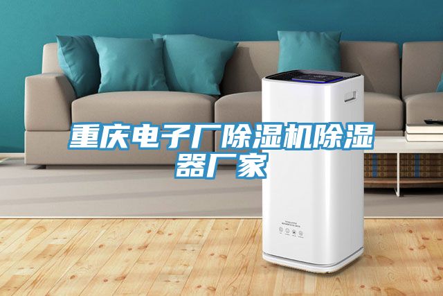 重慶電子廠草莓小视频黄色除濕器廠家