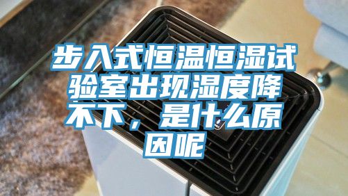 步入式恒溫恒濕試驗室出現濕度降不下，是什麽原因呢