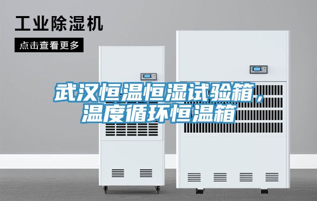 武漢恒溫恒濕試驗箱，溫度循環恒溫箱